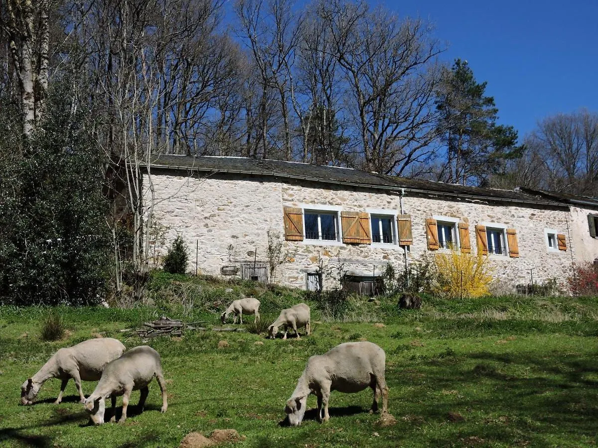 Gite La Fenial Montredon-Labessonnié